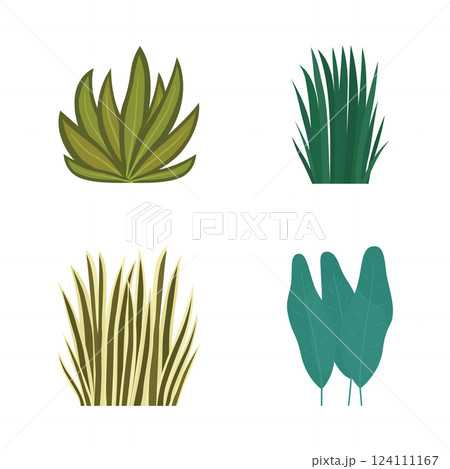 Elements Set of Fresh Tropical Leaves Foliage Grass Natural Plant in the Park Garden 124111167