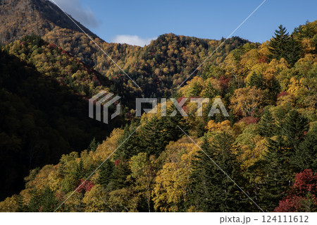 三国峠の紅葉 124111612