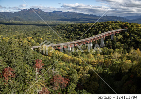 紅葉の松見大橋 124111794