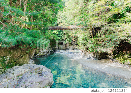 <長野>阿寺渓谷の美しい絶景と吊り橋 <長野>阿寺渓谷の美しい絶景と吊り橋 124111854