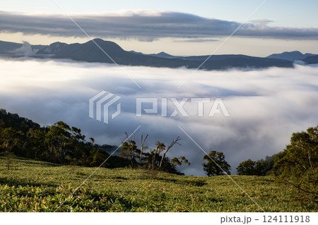 雲海の屈斜路湖 124111918