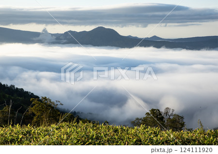 雲海の屈斜路湖 雲海の屈斜路湖 124111920