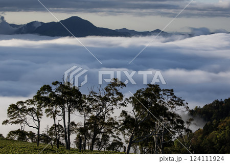 雲海の屈斜路湖 雲海の屈斜路湖 124111924