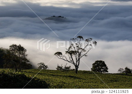 雲海の屈斜路湖 124111925