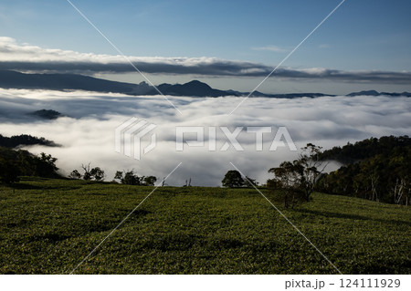 雲海の屈斜路湖 雲海の屈斜路湖 124111929