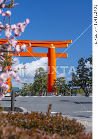 春の京都 平安神宮の大鳥居と梅 春の京都 平安神宮の大鳥居と梅 124112401