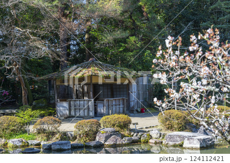 京都　平安神宮　神苑　茶店　東屋と梅の花 124112421