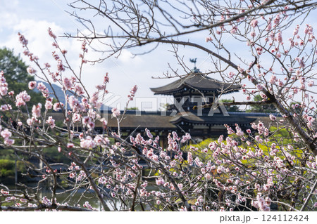 京都　平安神宮神苑　泰平閣と梅 124112424