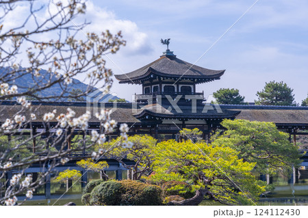 京都　平安神宮神苑　泰平閣と梅 124112430