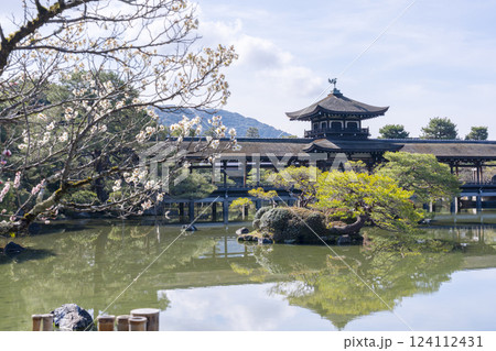 京都　平安神宮神苑　泰平閣と梅 124112431