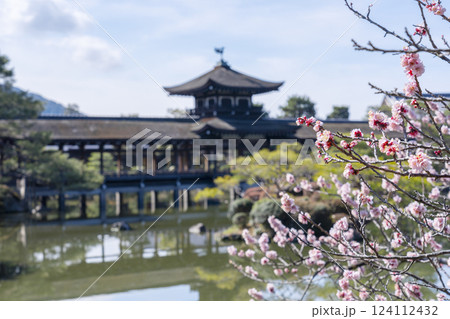 京都　平安神宮神苑　泰平閣と梅 124112432