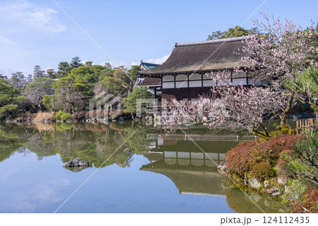 京都　平安神宮神苑　尚美館と梅 124112435