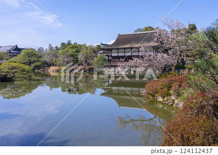 京都　平安神宮神苑　尚美館と梅 124112437