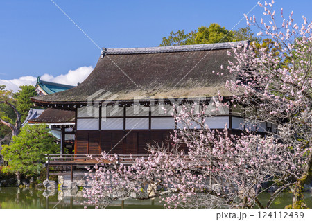 京都 平安神宮神苑 尚美館と梅 京都 平安神宮神苑 尚美館と梅 124112439