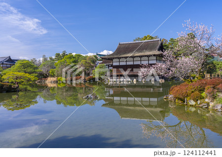 京都 平安神宮神苑 尚美館と梅 京都 平安神宮神苑 尚美館と梅 124112441