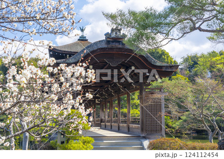 京都　平安神宮神苑　泰平閣と梅 124112454