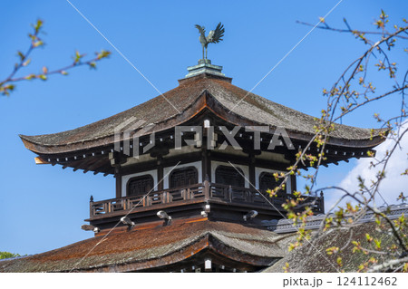 京都　平安神宮神苑　泰平閣の鳳凰 124112462