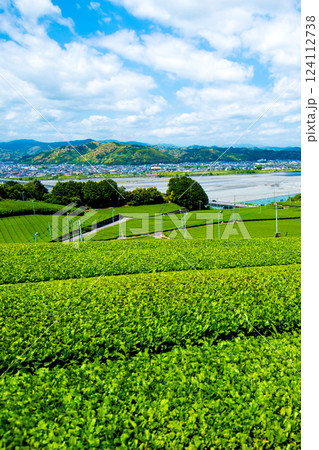 大自然の茶畑㉓ 大自然の茶畑㉓ 124112738