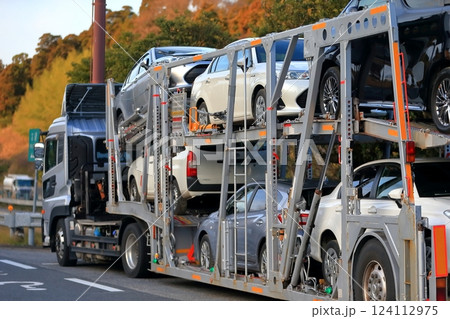 キャリアカー イメージ キャリアカー イメージ 124112975