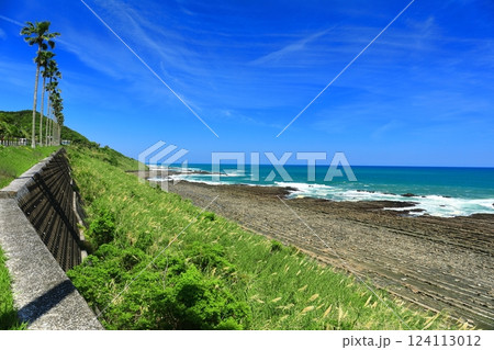 【宮崎県】快晴の日南海岸（鬼の洗濯板） 124113012