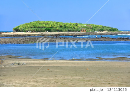 【宮崎県】快晴の青島（鬼の洗濯板） 124113026