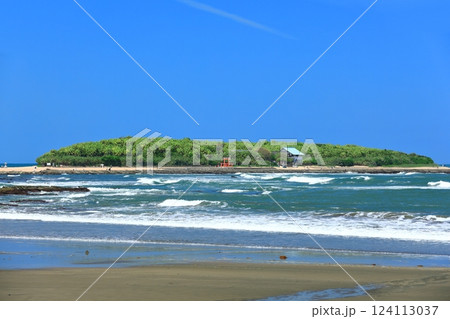 【宮崎県】快晴の青島（鬼の洗濯板） 124113037