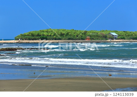 【宮崎県】快晴の青島（鬼の洗濯板） 124113039