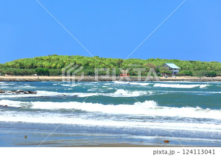 【宮崎県】快晴の青島（鬼の洗濯板） 124113041