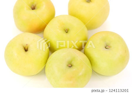 黄色いリンゴ　トキ　青森県産　複数　明るい背景 124113201
