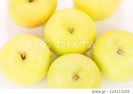 黄色いリンゴ　トキ　青森県産　複数　明るい背景 124113202