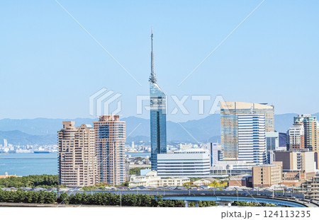 福岡県福岡市　快晴の福岡タワーと周辺の街並み 124113235