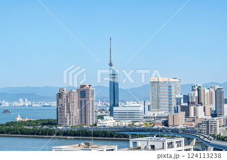 福岡県福岡市 快晴の福岡タワーと周辺の街並み 福岡県福岡市 快晴の福岡タワーと周辺の街並み 124113238