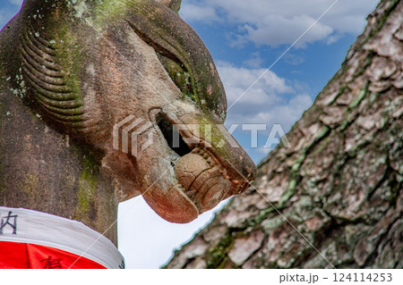 伏見稲荷 124114253