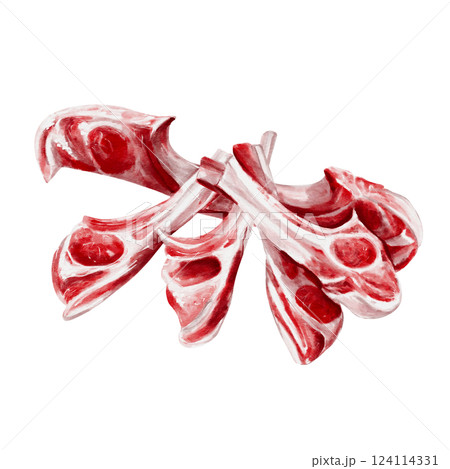 Lots of meat on the bone. Ribs for grill and barbecue. Raw meat. Watercolor illustration isolated from background. Beef and lamb. High quality illustration Lots of meat on the bone. Ribs for grill and barbecue. Raw meat. Watercolor illustration isolated from background. Beef and lamb. High quality illustration 124114331