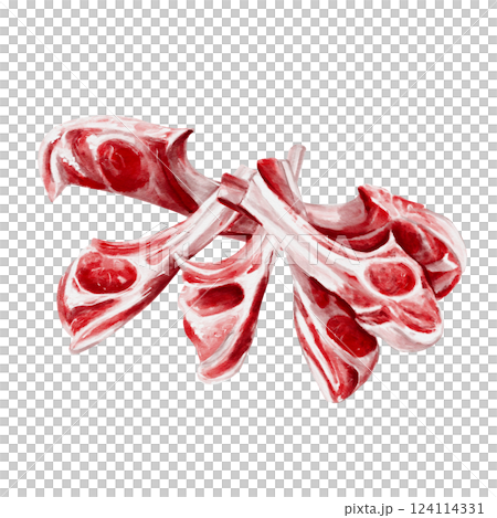 Lots of meat on the bone. Ribs for grill and barbecue. Raw meat. Watercolor illustration isolated from background. Beef and lamb. High quality illustration Lots of meat on the bone. Ribs for grill and barbecue. Raw meat. Watercolor illustration isolated from background. Beef and lamb. High quality illustration 124114331