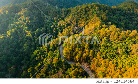 Aerial view of road and forest. Road through natural forest in summer. Tourism, transportation, nature conservation and travel. 124114564