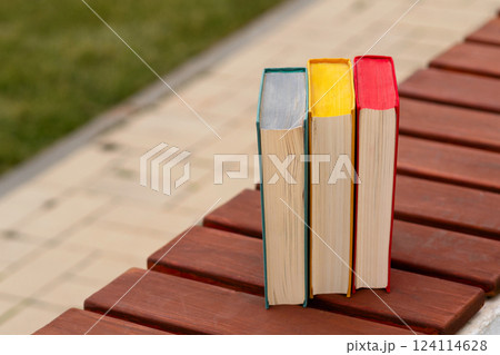 Three hardcover books vertically placed on wooden park bench. 124114628
