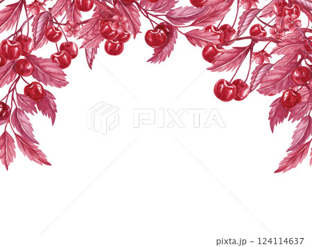 Frame with cherry branches located on top. Red berries cherries twigs. Watercolor illustration in monochrome style isolated from background. For packaging frozen ice cream, dessert, jelly, marmalade Frame with cherry branches located on top. Red berries cherries twigs. Watercolor illustration in monochrome style isolated from background. For packaging frozen ice cream, dessert, jelly, marmalade 124114637