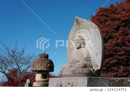 阿弥陀如来像　仏像　継鹿尾観音寂光院 124114751