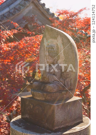紅葉に囲まれた千手観音像 継鹿尾観音寂光院 紅葉に囲まれた千手観音像 継鹿尾観音寂光院 124114752