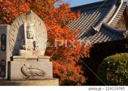 紅葉を背景とした不動明王像　継鹿尾観音寂光院 124114765