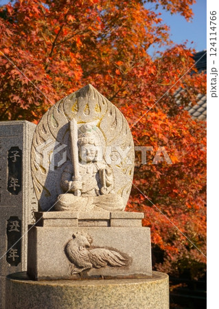 紅葉に囲まれた不動明王像　継鹿尾観音寂光院 124114766