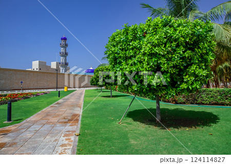 サラーラ 124114827