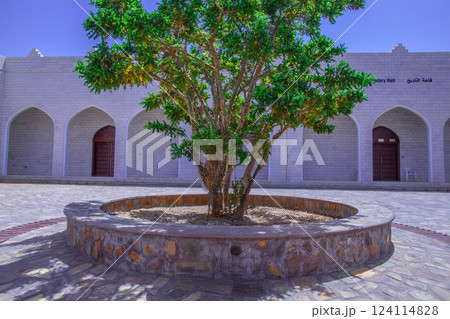 アル バリード遺跡 124114828