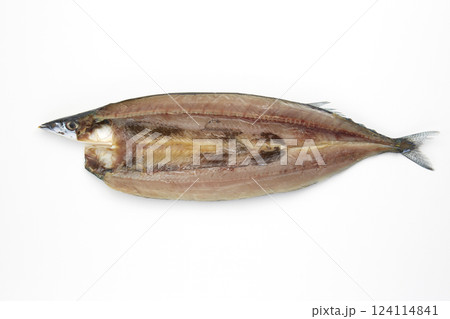美味しそうな魚の干物_さんま 124114841