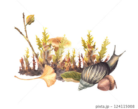 Chanterelle Mushroom with Snail. Autumn moos with acorn, yellow green leaves. Fall forest arrangement with brown slug. Watercolor hand painted illustration for card, poster. Isolated from background Chanterelle Mushroom with Snail. Autumn moos with acorn, yellow green leaves. Fall forest arrangement with brown slug. Watercolor hand painted illustration for card, poster. Isolated from background 124115008