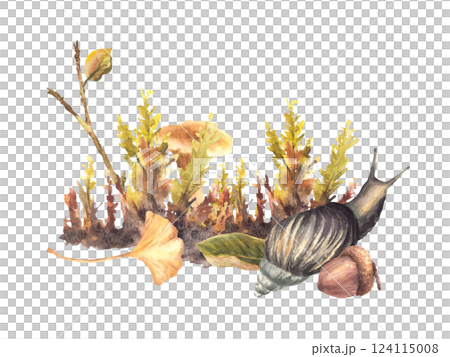 Chanterelle Mushroom with Snail. Autumn moos with acorn, yellow green leaves. Fall forest arrangement with brown slug. Watercolor hand painted illustration for card, poster. Isolated from background Chanterelle Mushroom with Snail. Autumn moos with acorn, yellow green leaves. Fall forest arrangement with brown slug. Watercolor hand painted illustration for card, poster. Isolated from background 124115008