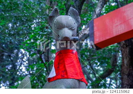 伏見稲荷 124115062