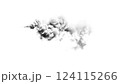 「煙 / 雲」モノクロ 透過PNG（AI : Fireflyによる生成） 124115266