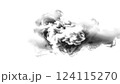 「煙 / 雲」モノクロ 透過PNG（AI : Fireflyによる生成） 124115270